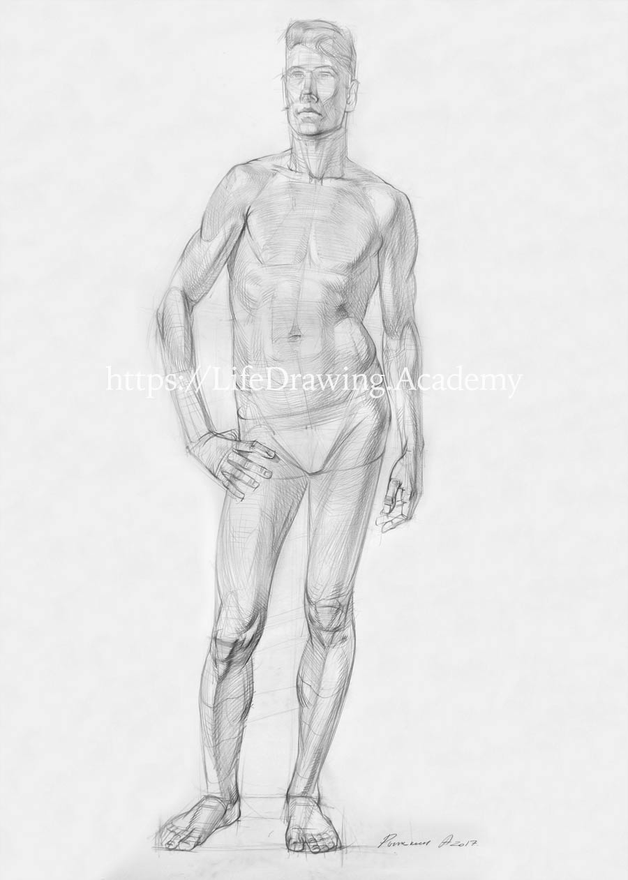 How to Draw Male Body