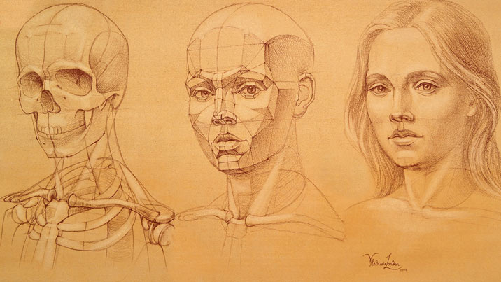 Drawing Face Proportions