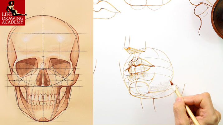 How to Draw a Mouth