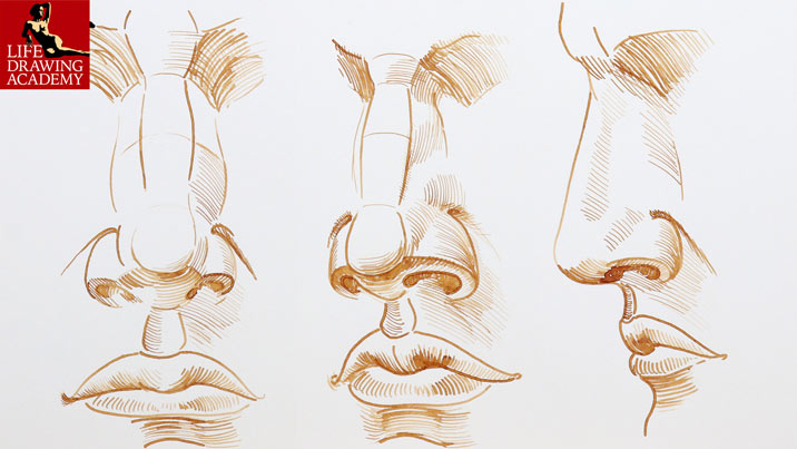 How to Draw a Nose