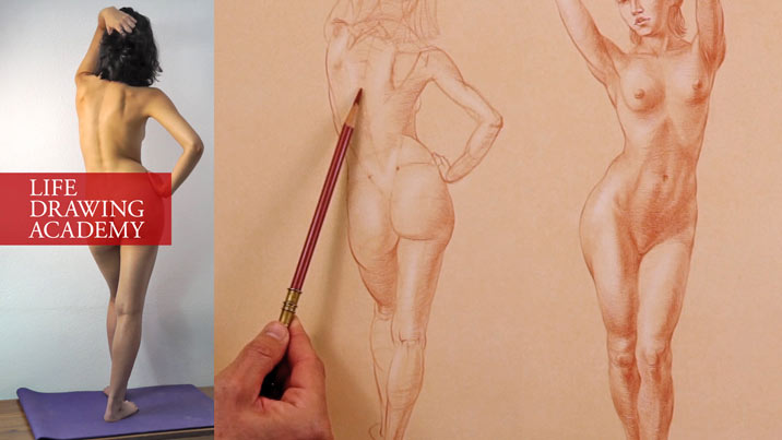 How to Draw a Body