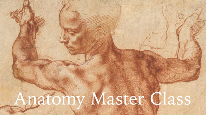 Anatomy Master Class - online art course