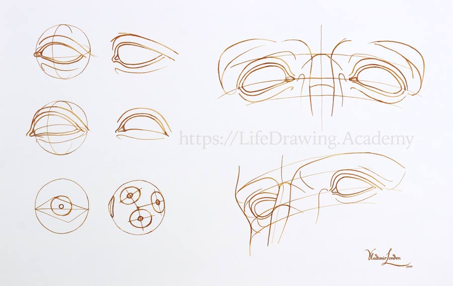 How to Draw Eyes - Life Drawing Academy