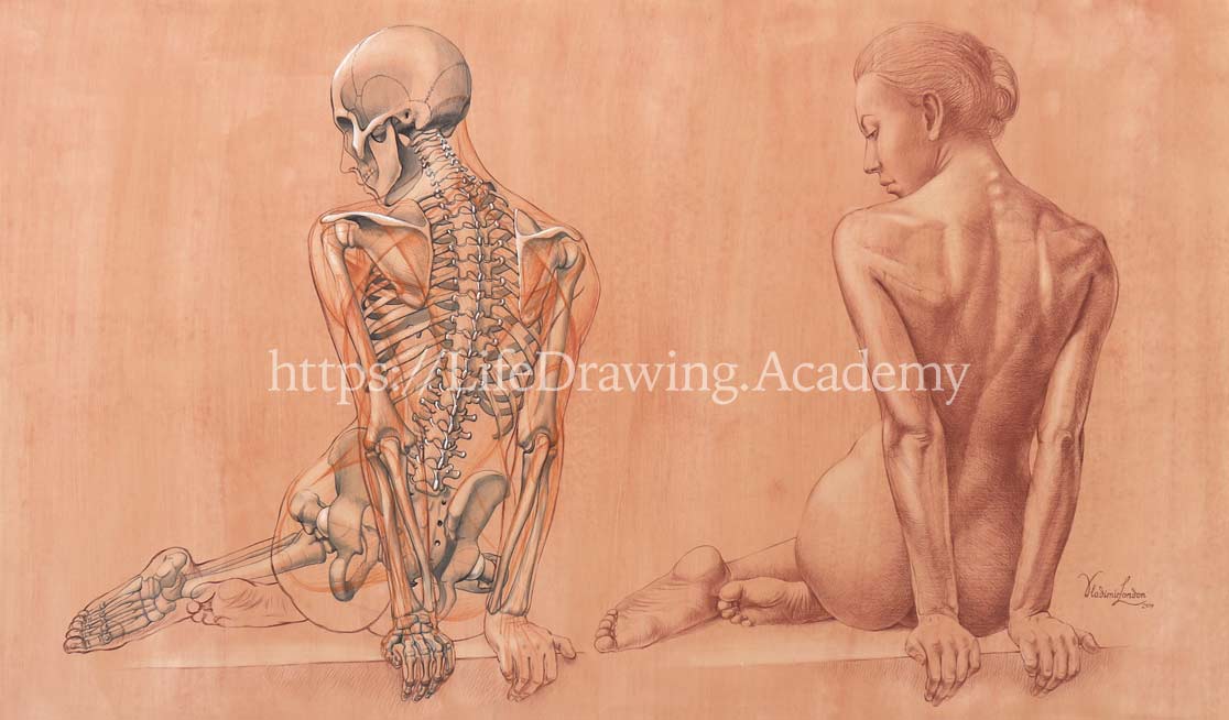 How to Draw a Female from Life - Life Drawing Academy