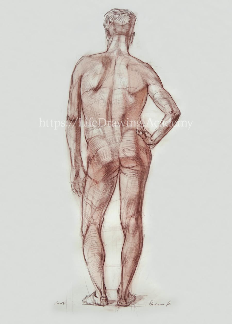 How to Draw a Figure in Contrapposto