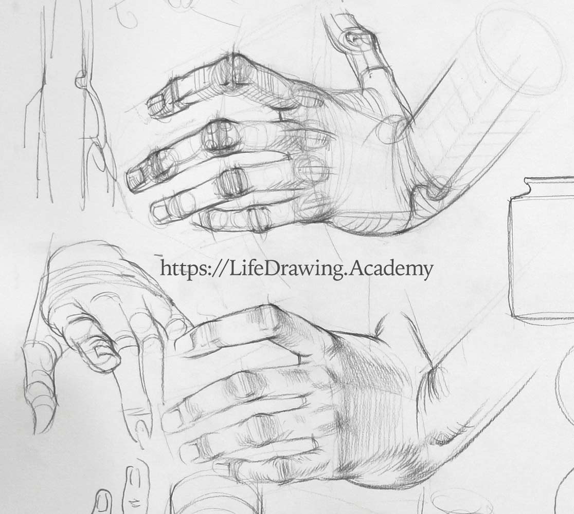How to Draw Hands Life Drawing Academy