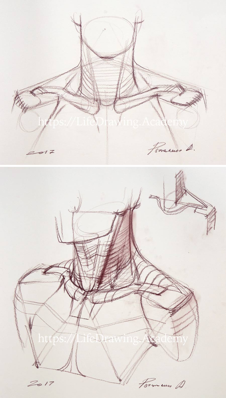 How to Draw Neck and Shoulders