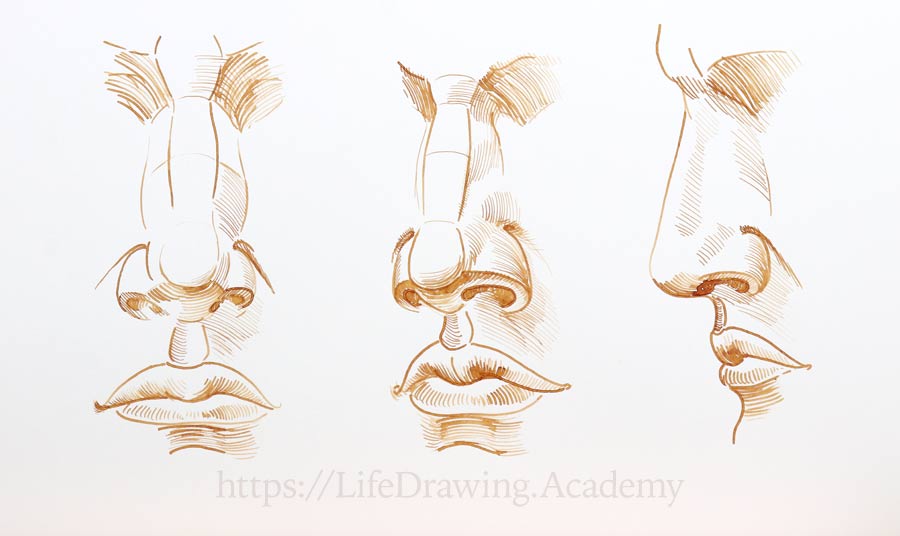 How to Draw a Nose