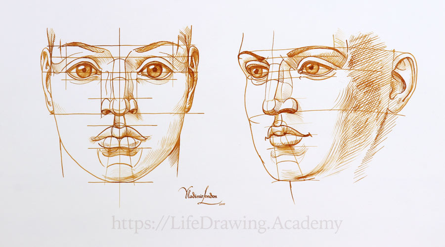 how to draw a realistic face shape