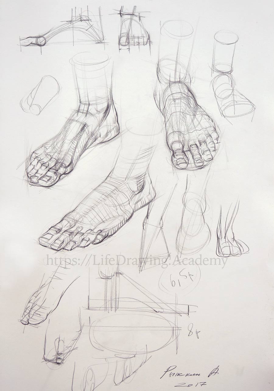 How to Draw Realistic Feet Life Drawing Academy