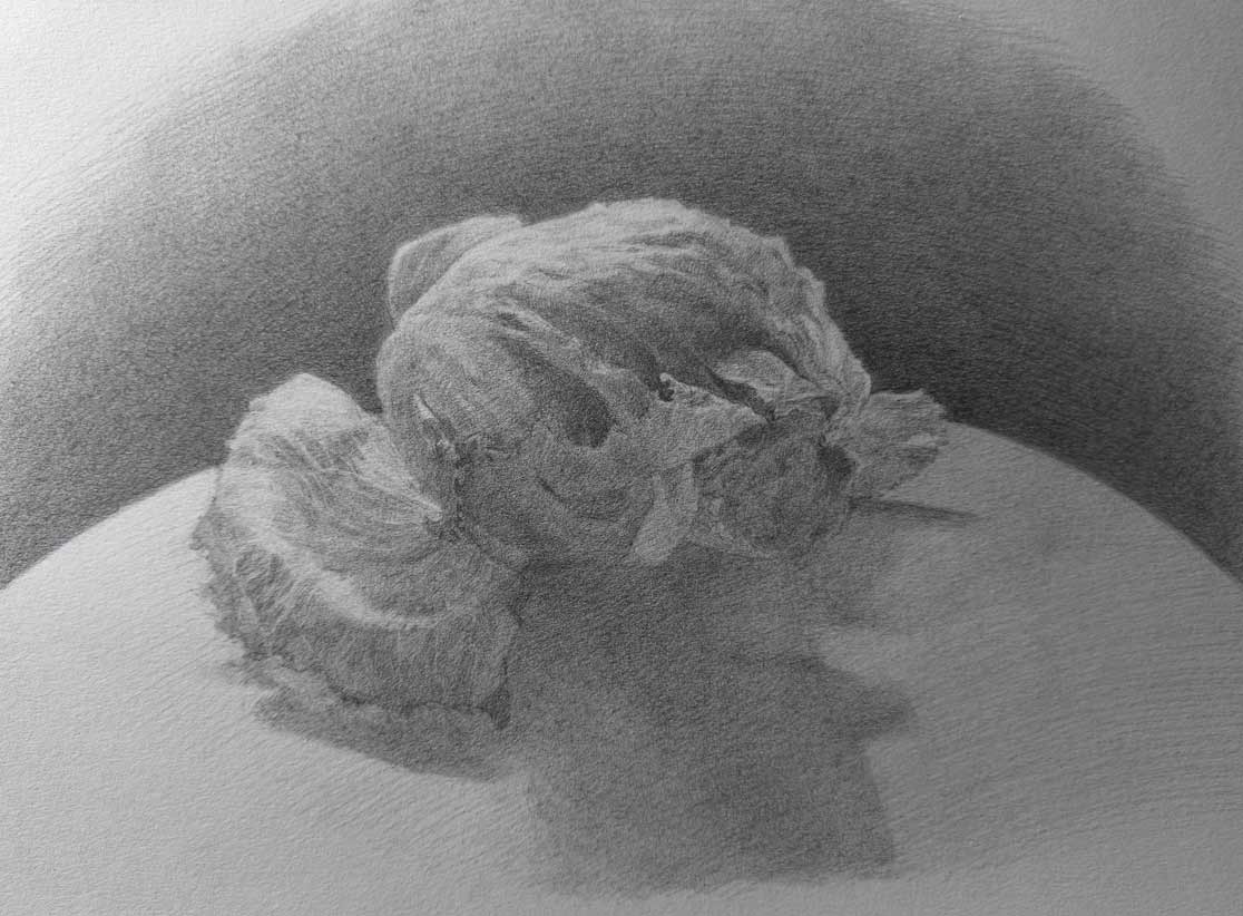 Drawing objects of nature