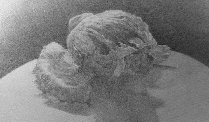 Drawing objects of nature