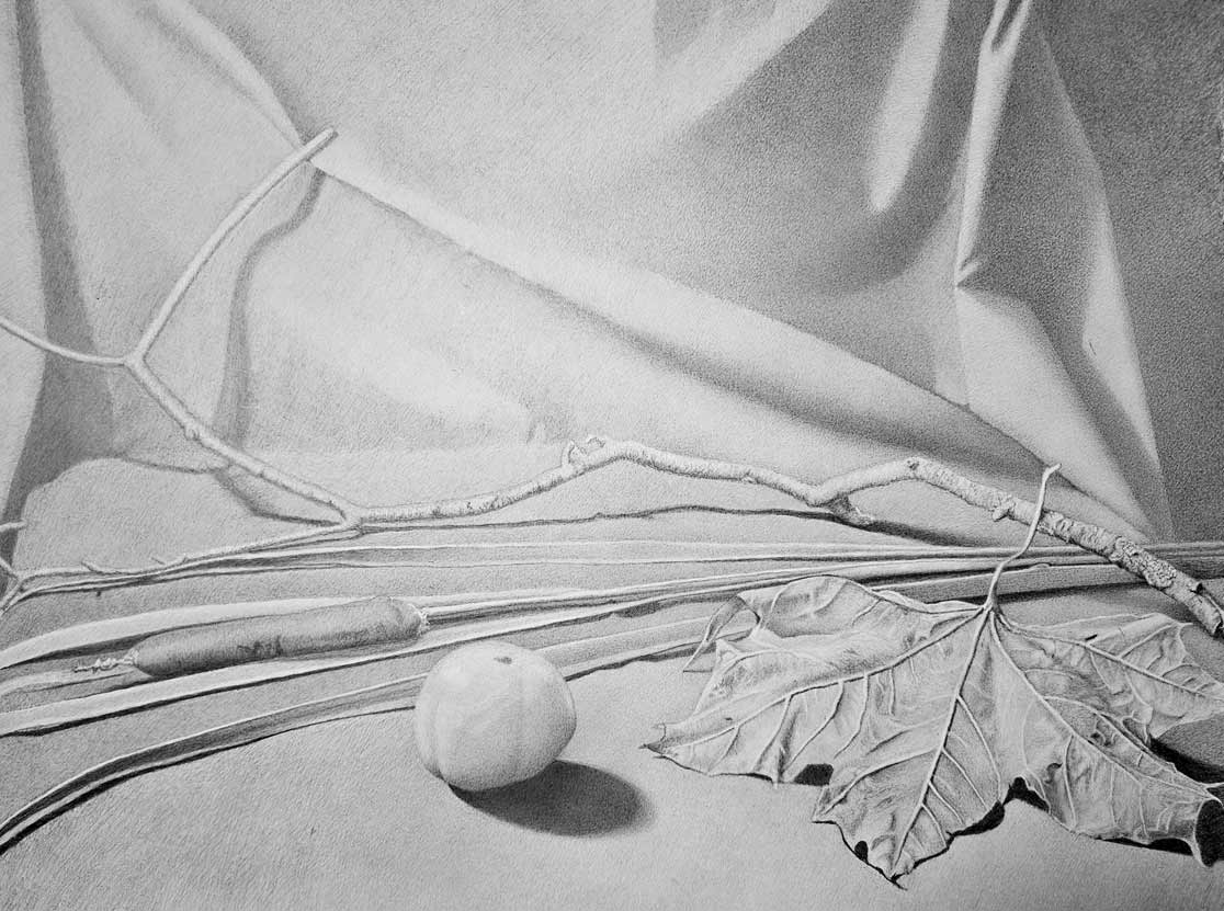Drawings of objects of nature by Daniel, a Life Drawing Academy Correspondence Course student