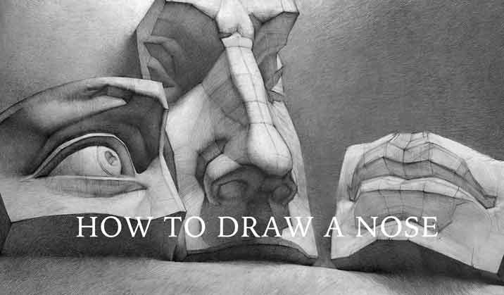 How to Draw a Nose