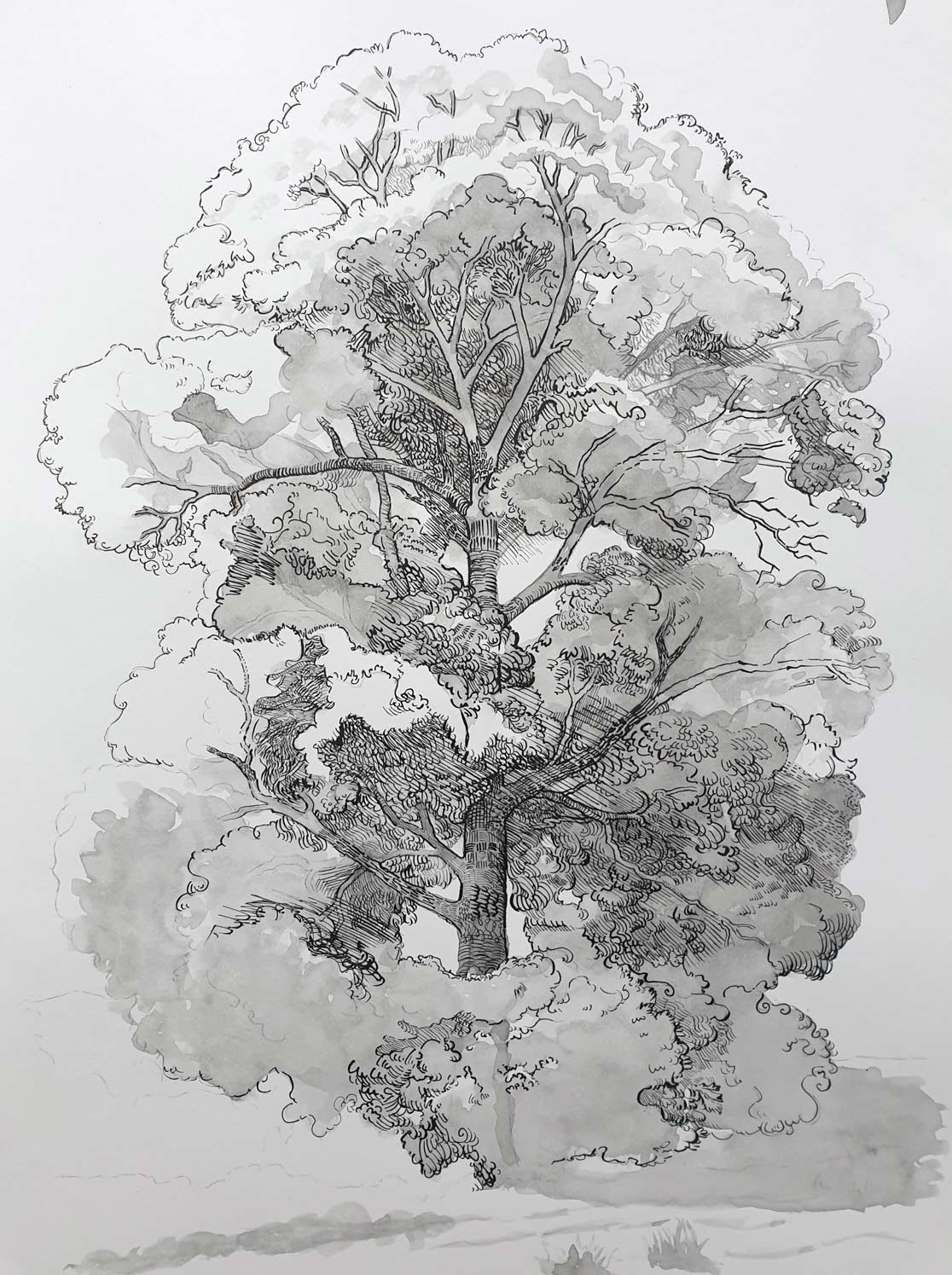 Life Drawing Academy review by Rose Coroy