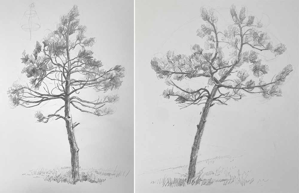 Sketching Nature from Life: Trees, Bushes, Twigs and Branches
