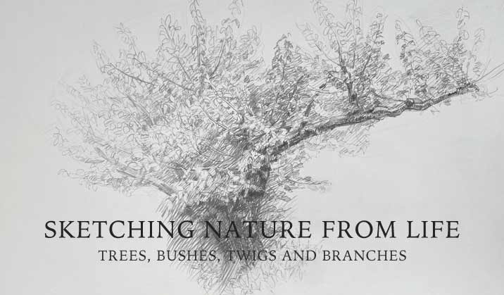Sketching Nature from Life: Trees, Bushes, Twigs and Branches