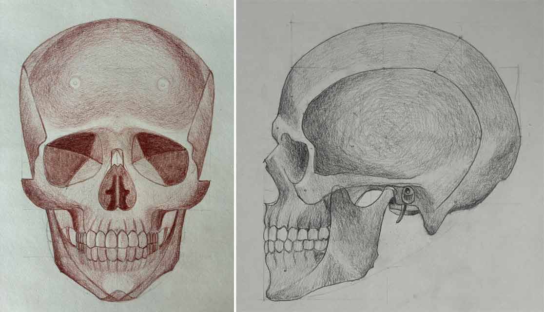 Skull drawings by Angela