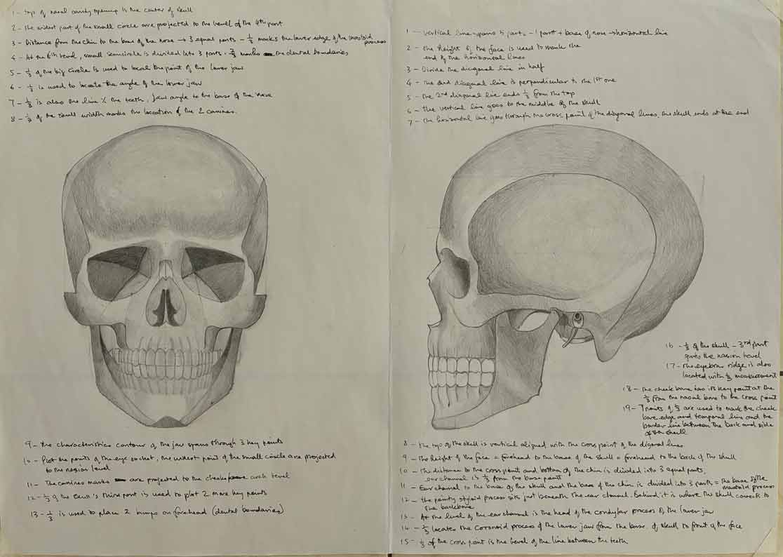 Skull drawings by Angela