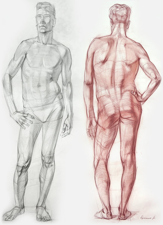 How To Draw - Anatomy and Figure Drawing - Ultimate Course