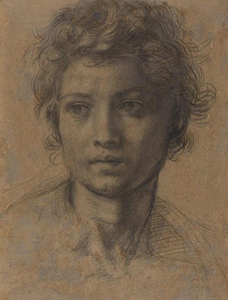 Andrea del Sarto - Italian High Renaissance painter. 1486 - 1530