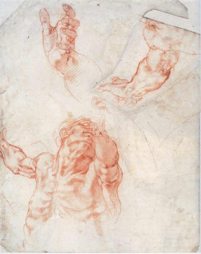 Michelangelo Buonarroti - The Great Renaissance Master