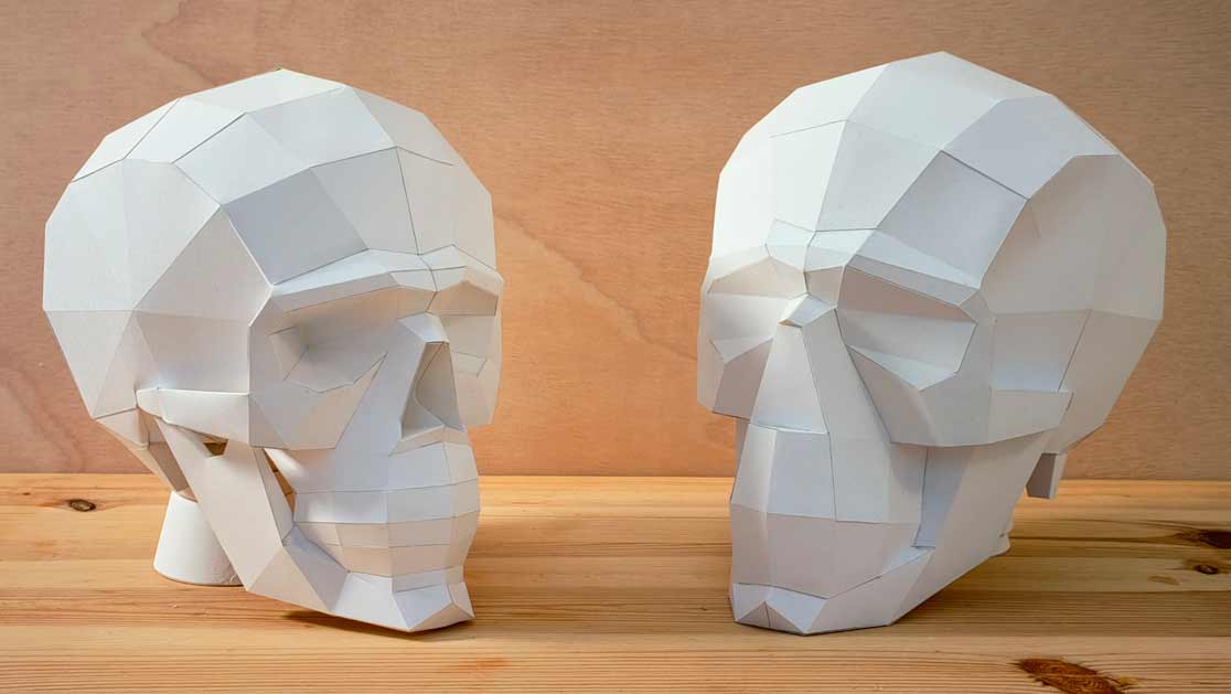 Best Paper Skull Models