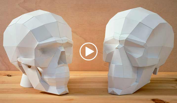 Best Paper Skull Models