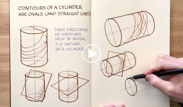 Contours of a Cylinder - Life Drawing Academy