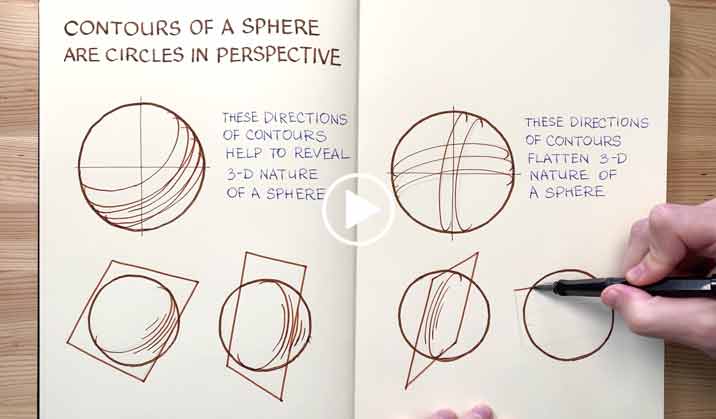 Contours of a Sphere - Life Drawing Academy