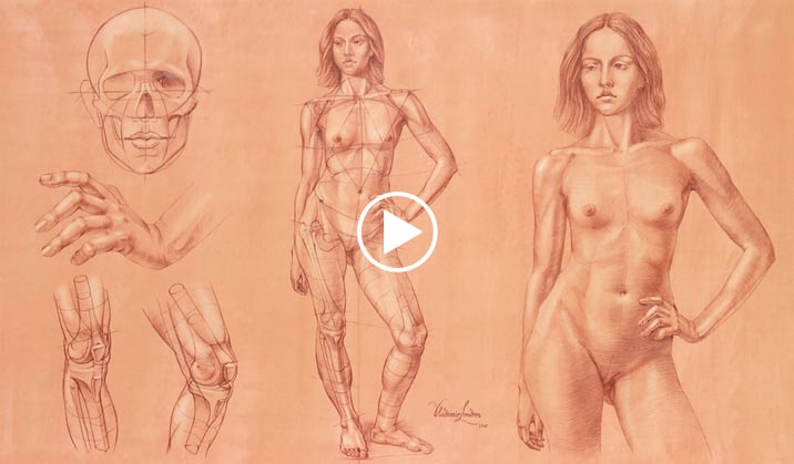 How to Draw a Torso - Life Drawing Academy