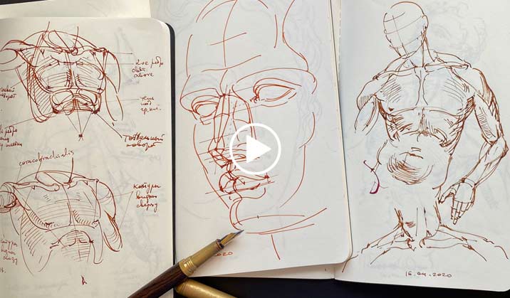 How to get good skills by drawing just 20 minutes a day - Life Drawing Academy