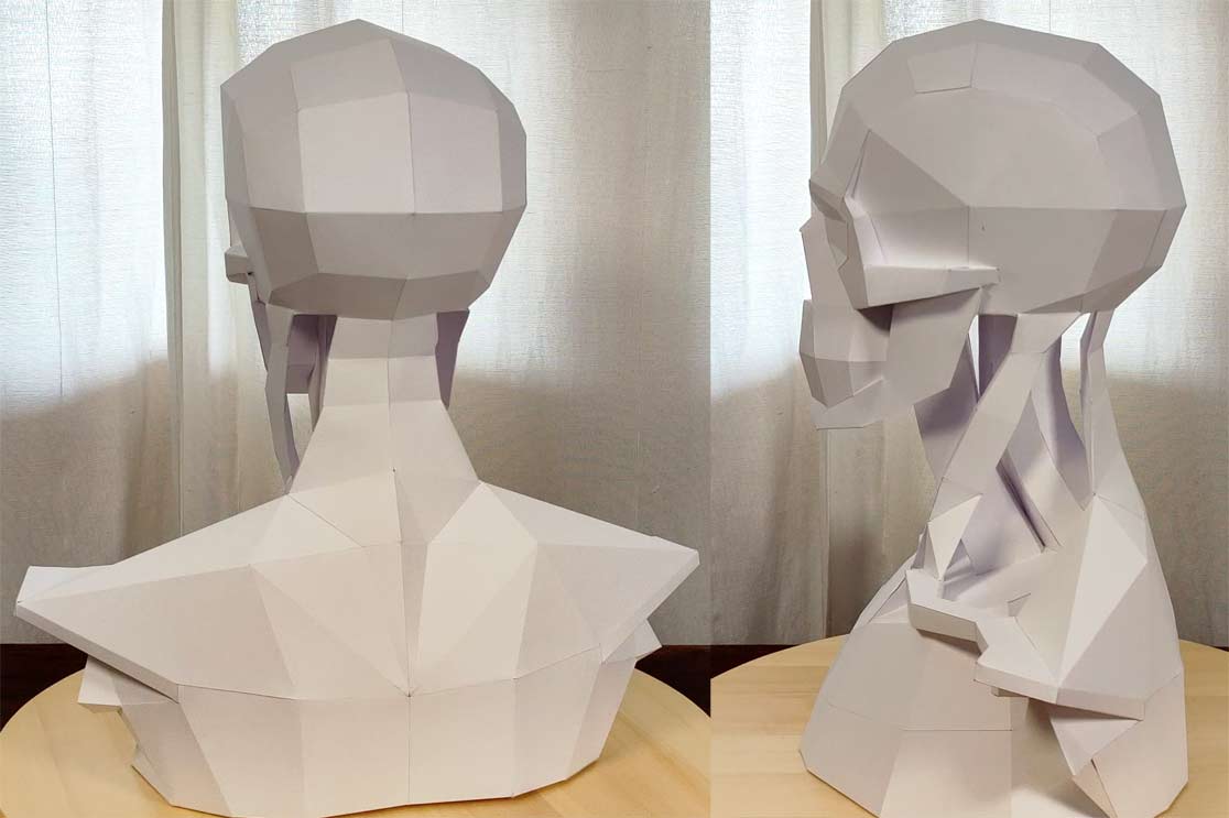 How to Make a Shoulder Girdle Paper Model