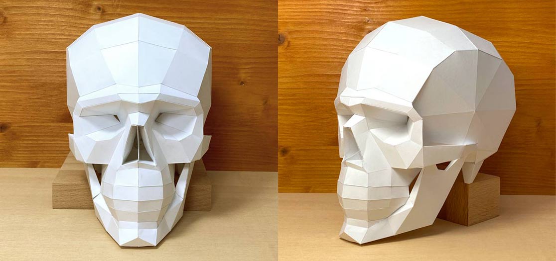 How to sculpt and draw a skull