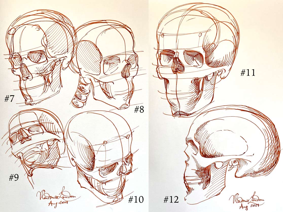 How to Sketch a Skull