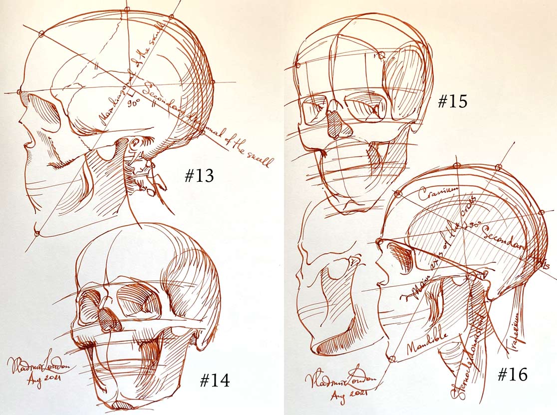 How to Sketch a Skull