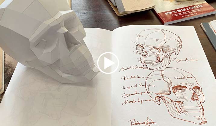 How to Sketch a Skull - Life Drawing Academy