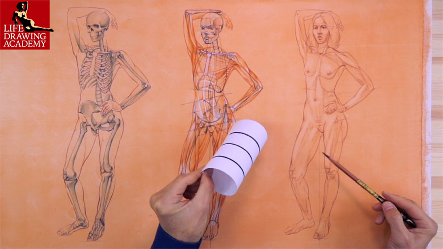 How to use Contours and Outlines in Life Drawing