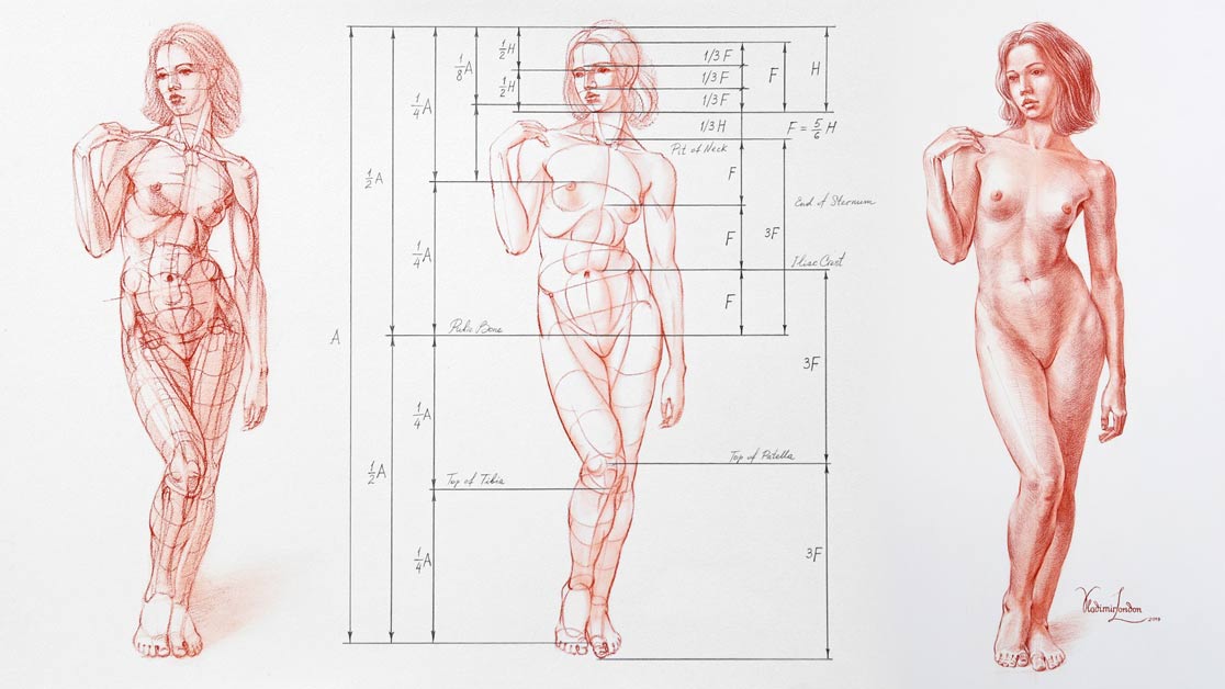 Human Body Proportions in Contrapposto