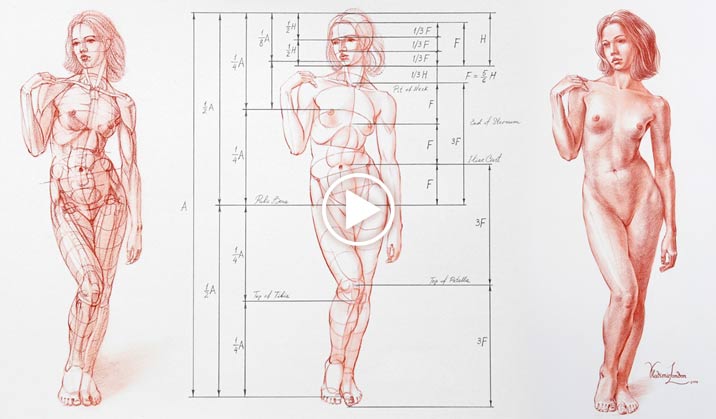 Human Body Proportions in Contrapposto - Life Drawing Academy