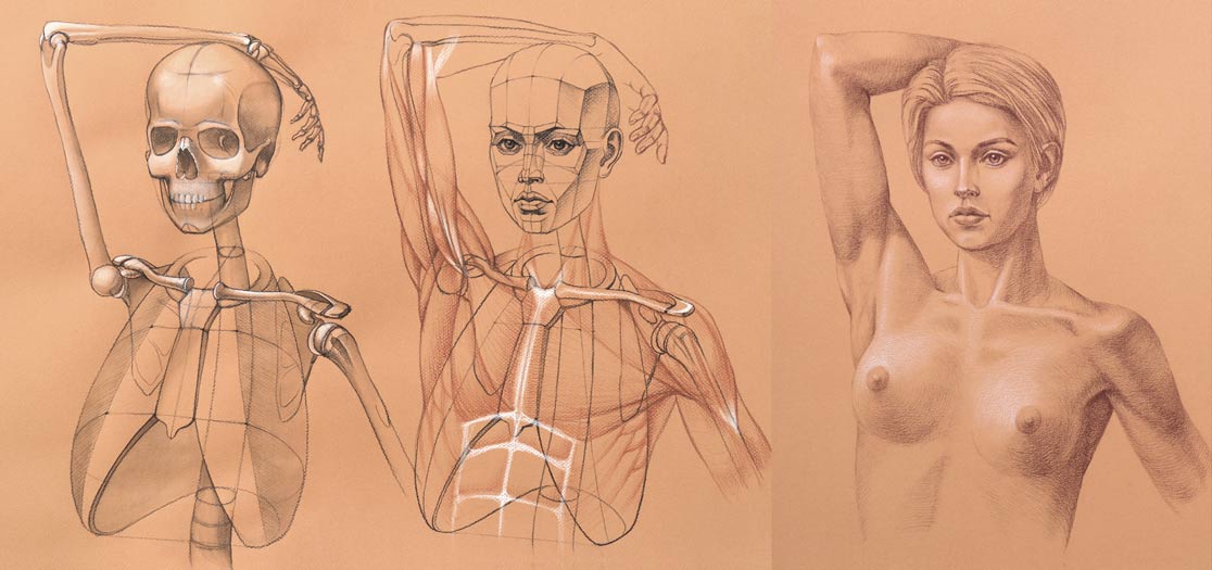 Life Drawing Academy vs top Art Ateliers